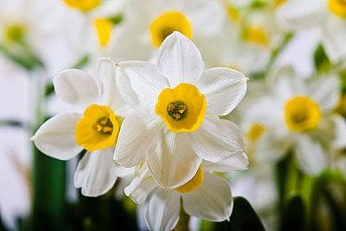 《致命预感》总监发问：开发者凭什么免费更新游戏？